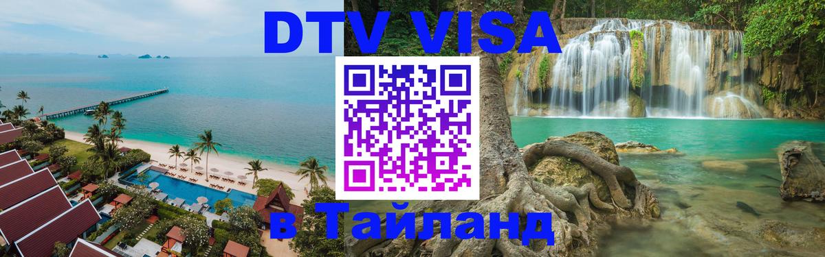 Оформление DTV визы под ключ: стоимость и тарифы, только загранпаспорт - Саратов  18.11.2025 